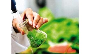 合肥食品檢測(cè)：重金屬元素中常見的元素有哪些？